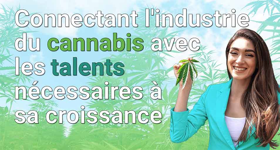 Connectant l'industrie du cannabis avec les talents nécessaires à sa croissance