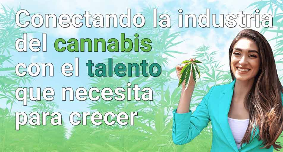 Conectando la industria del cannabis con el talento que necesita para crecer